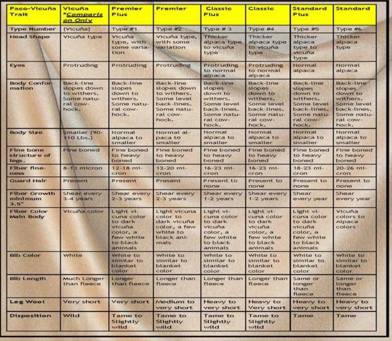 Alpaca Natural Color Fiber Chart